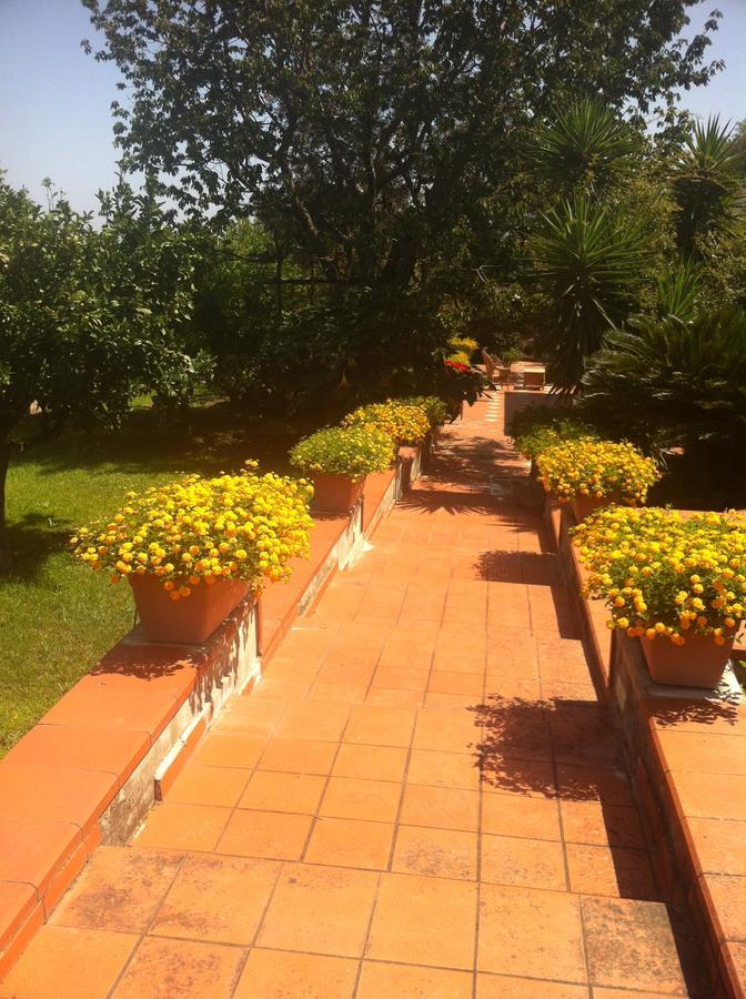 B&B Villa Irma Sorrento Bagian luar foto